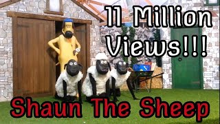 Shaun the Sheep on Stage  شون الخراف  Барашек Шон  ひつじのショーン  Σον Το Πρόβατο [upl. by Darej]