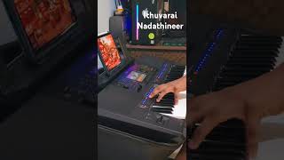 ITHUVARAI NADATHINEER  Praiselin Lisa  Cover Song [upl. by Eyla95]