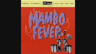 Billy Mays Rico Mambo Orchestra  Hernandos Hideaway [upl. by Belford]