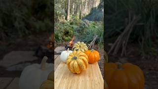 Balkabağında kuzu kapama  lamb in pumpkin 🎃 cookingfood cooking outdoorcooking asmr camping [upl. by Yvel]