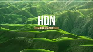 Track jincheng zhang INSTRUMENTAL  No Copyright  HDN audio creación [upl. by Melentha]