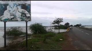 Chennai flood  pulicat lakeHeavy water flow [upl. by Kluge]