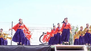 4K高知学生 旅鯨人 2017犬山踊芸祭 1日目 石作公園メイン会場（広角） [upl. by Enoj]