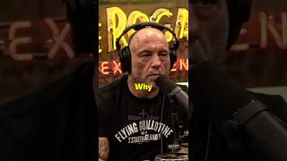 Why Did God Create War  Joe Rogan [upl. by Auston]