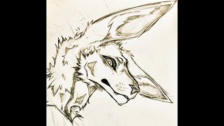 Maow mrrp LASER LASER LASER JACKALOPE [upl. by Manya]