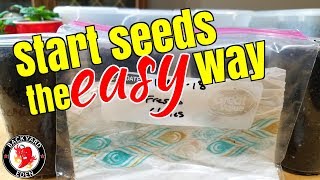 How to germinate seeds in the paper towel method  Backyard Eden [upl. by Annaik56]