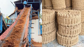 How coir is made from dry coconuts [upl. by Soni]