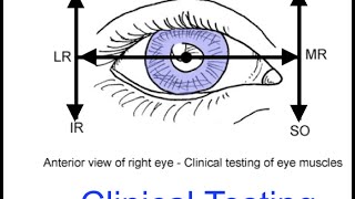 Clinical testing extraocular muscles tutorial [upl. by Aneen468]