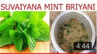 Mint Biryani  Village Style Mint Biryani  Grandma Cooking Channel [upl. by Sirromed]