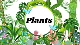 TYPES OF PLANTS  Plants  Climber  Aquatic  Desert  Creeper  Herbs Shrubs  Trees  Epiphytes [upl. by Oetam]