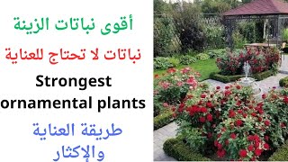 نباتات معمره ومزهرة تتحمل درجات الحرارة ولا تحتاج للعنايةPlants that tolerate harsh climates [upl. by Menashem]