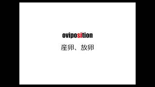 理系英単語リズミクス oviposition [upl. by Prunella]