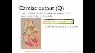 Definition of cardiac output Q stroke volume SV and heart rate HR CV variables part 1 [upl. by Saravat]