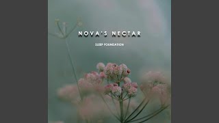 Nova’s Nectar [upl. by Eseer]