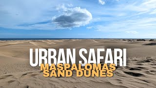 Walking and discovering the Sand Dunes of Maspalomas 4K60fps [upl. by Hesoj796]