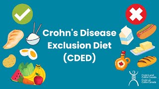 Crohns Disease Exclusion Diet CDED [upl. by Enyaj]