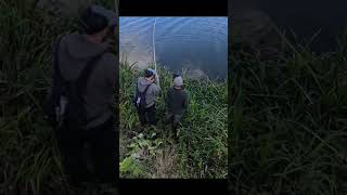 Lure fishing gunki predatorfishing perch pike fishing fishingtechniques [upl. by Nicolai]