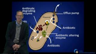 Antibiotikaresistens bakgrunn [upl. by Reffinnej]