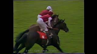 1987 Gimcrack Stakes Reprimand Includes Replay [upl. by Notac]