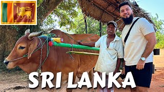 Deep Inside Habarana Village Life Sri Lanka 🇱🇰 PART 1 [upl. by Partridge]