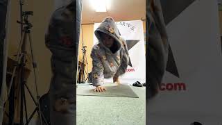 OODIE ON TOO⁉️👀SUBSCRIBE pushups calisthenics athlete fitness [upl. by Assirem]