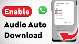 How To Enable Audio AutoDownload on WhatsApp Updated [upl. by Leivad609]