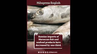 Russian imports of Moroccan fish and seafood products have decreased by onethird [upl. by Far]