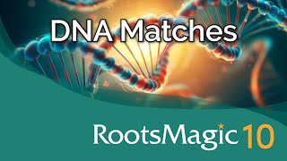 Mastering DNA Matches in RootsMagic 10 [upl. by Florenza]