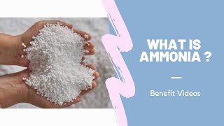 What Is Ammonia [upl. by Novled]