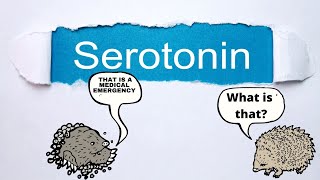 What YOU Should KNOW about Serotonin Syndrome PMHNP EXAM REVIEW serotonin [upl. by Leach]