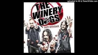 The Winery Dogs  Captain Love [upl. by Gabbi392]