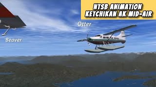 NTSB Animation Ketchikan AK MidAir from May 2019 [upl. by Tumer]