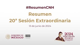 Resumen 20ª Sesión Extraordinaria del Órgano de Gobierno 13 de junio de 2024 [upl. by Nerrag]