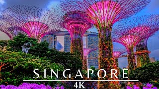 Singapore 4K Night 🇸🇬 Gardens By The Bay [upl. by Rednav]