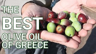 Unboxing Greece Episode 1 What is the Best Extra Virgin Olive Oil in Greece [upl. by Alicea84]