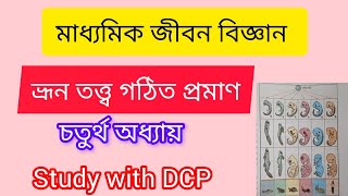 অভিব্যক্তি স্বপক্ষে ভ্রুণতত্ত্ব গঠিত প্রমাণ। মাধ্যমিক জীবন বিজ্ঞান। চতুর্থ অধ্যায়। [upl. by Kannry]