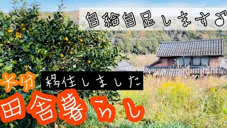 【田舎暮らし】大分へ移住しました♪本格的な自給自足に向けて079 [upl. by Wildermuth736]