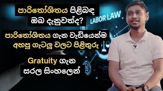 පාරිතෝශිතය ගැන වැඩියෙන්ම අහපු ප්‍රශ්න වලට පිළිතුරු  Answers for FAQ on Gratuity  Labour Law [upl. by Suivatnad]