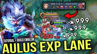 AULUS UNLIMITED TRUE DAMAGE BUILD IN EXP LANE must try  AULUS BEST BUILD AND EMBLEM 2024 [upl. by Calendre281]