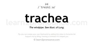 Trachea pronunciation and definition [upl. by Ylrevaw113]