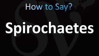 How to Pronounce Spirochaetes correctly [upl. by Ahsinaw]