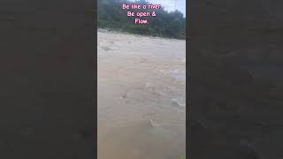 shorts beautifulnature saverivers kangra vyasriver motivationalsong [upl. by Khudari730]