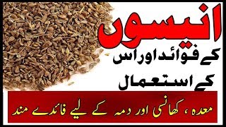 Health Benefits of anise  Anisoon ke fawaid ur us ke istemal By Hakeem Zia Shahid [upl. by Oconnor]