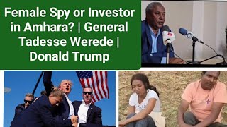 Female Spy or Investor in Amhara   General Tadesse Werede  Donald Trump [upl. by Dippold489]