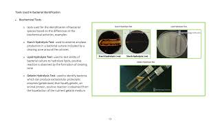 BIOCHEMICAL TESTS [upl. by Llenrub]