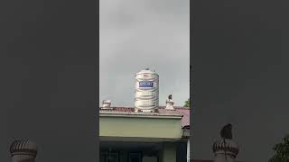 Monkey spotted riding rotating roof ventilator in Taiping Malaysia [upl. by Skardol]