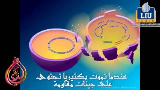 آليات مقاومة البكتريا للمضادات الحيوية بيتا لاكتام Mode of Bacterial Resistance Against Antibiotics [upl. by Valora]