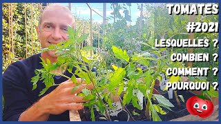 PLANTATION DES TOMATES  Quoi quand comment combien [upl. by Tnarg772]