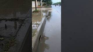 Rain Water Flow So Fast After Unclogged unclog remove culvert shorts [upl. by Liw268]