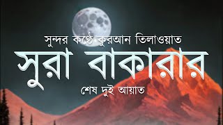 সূরা বাকারার শেষ দুই আয়াত অসম্ভব সুন্দর তেলাওয়াত  Abdullah Imran [upl. by Aytnahs]